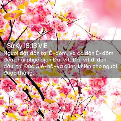 Picture 02 - 1 Sử Ký 18:13 VIE - Người đặt đồn tại Ê-đôm, và cả - Bible Verse Picture