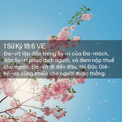 Picture 02 - 1 Sử Ký 18:6 VIE - Đa-vít lập đồn trong Sy-ri của - Bible Verse Picture