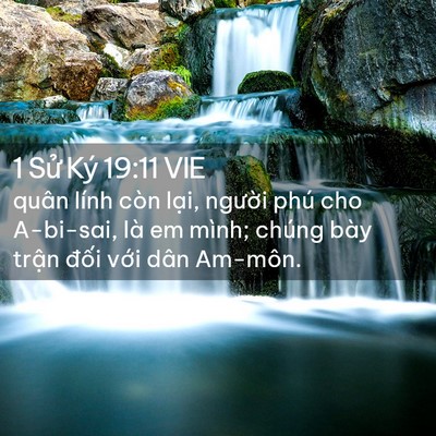 Picture 02 - 1 Sử Ký 19:11 VIE - quân lính còn lại, người phú cho - Bible Verse Picture