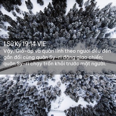 Picture 02 - 1 Sử Ký 19:14 VIE - Vậy, Giô-áp và quân lính theo người - Bible Verse Picture