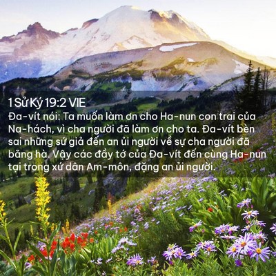 Picture 02 - 1 Sử Ký 19:2 VIE - Đa-vít nói: Ta muốn làm ơn cho Ha-nun con - Bible Verse Picture