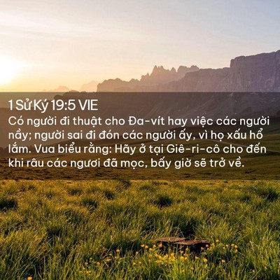 Picture 02 - 1 Sử Ký 19:5 VIE - Có người đi thuật cho Đa-vít hay việc - Bible Verse Picture