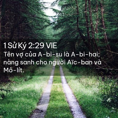 Picture 02 - 1 Sử Ký 2:29 VIE - Tên vợ của A-bi-su là A-bi-hai; nàng sanh - Bible Verse Picture