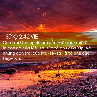 Picture 02 - 1 Sử Ký 2:42 VIE - Con trai Ca-lép, là em của Giê-rác-mê-ên, - Bible Verse Picture
