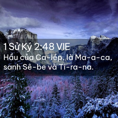 Picture 02 - 1 Sử Ký 2:48 VIE - Hầu của Ca-lép, là Ma-a-ca, sanh Sê-be và - Bible Verse Picture