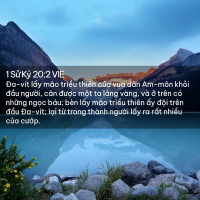 Picture 02 - 1 Sử Ký 20:2 VIE - Đa-vít lấy mão triều thiên của vua dân - Bible Verse Picture