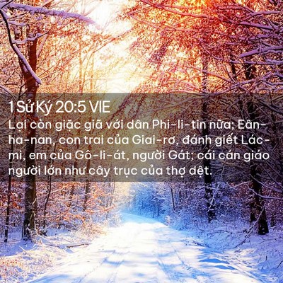 Picture 02 - 1 Sử Ký 20:5 VIE - Lại còn giặc giã với dân Phi-li-tin - Bible Verse Picture