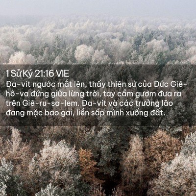 Picture 02 - 1 Sử Ký 21:16 VIE - Đa-vít ngước mắt lên, thấy thiên sứ - Bible Verse Picture