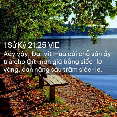 Picture 02 - 1 Sử Ký 21:25 VIE - Aáy vậy, Đa-vít mua cái chỗ sân ấy - Bible Verse Picture