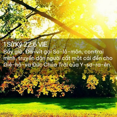 Picture 02 - 1 Sử Ký 22:6 VIE - Bấy giờ, Đa-vít gọi Sa-lô-môn, con trai - Bible Verse Picture