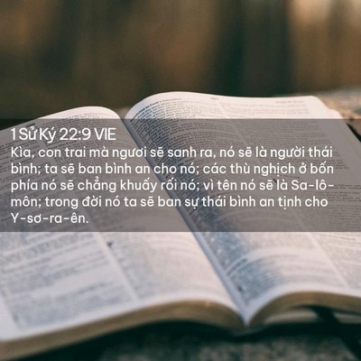 Picture 02 - 1 Sử Ký 22:9 VIE - Kìa, con trai mà ngươi sẽ sanh ra, nó sẽ - Bible Verse Picture