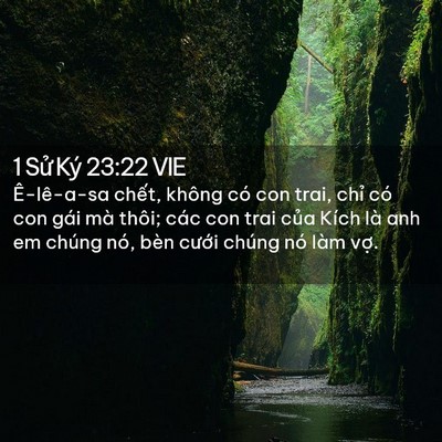 Picture 02 - 1 Sử Ký 23:22 VIE - Ê-lê-a-sa chết, không có con trai, chỉ - Bible Verse Picture