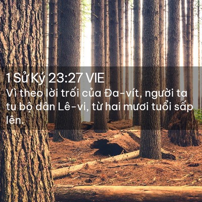 Picture 02 - 1 Sử Ký 23:27 VIE - Vì theo lời trối của Đa-vít, người ta - Bible Verse Picture