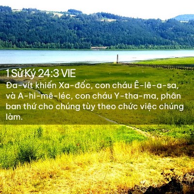 Picture 02 - 1 Sử Ký 24:3 VIE - Đa-vít khiến Xa-đốc, con cháu - Bible Verse Picture