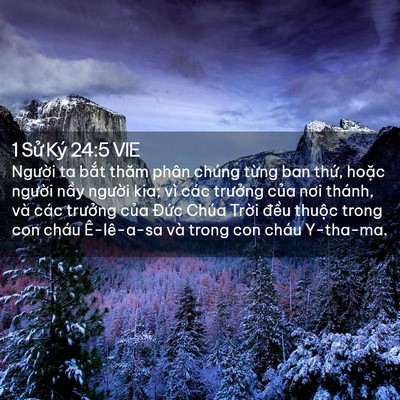 Picture 02 - 1 Sử Ký 24:5 VIE - Người ta bắt thăm phân chúng từng ban - Bible Verse Picture