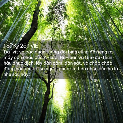 Picture 02 - 1 Sử Ký 25:1 VIE - Đa-vít và các quan tướng đội binh cũng - Bible Verse Picture