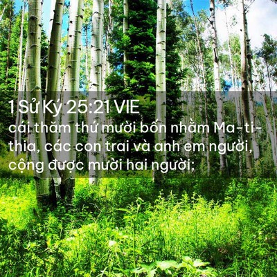 Picture 02 - 1 Sử Ký 25:21 VIE - cái thăm thứ mười bốn nhằm Ma-ti-thia, - Bible Verse Picture