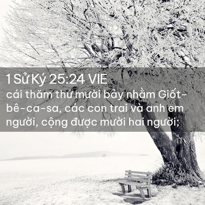 Picture 02 - 1 Sử Ký 25:24 VIE - cái thăm thứ mười bảy nhằm - Bible Verse Picture