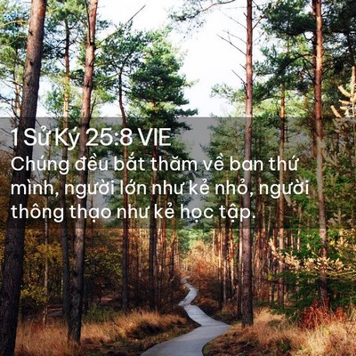 Picture 02 - 1 Sử Ký 25:8 VIE - Chúng đều bắt thăm về ban thứ mình, - Bible Verse Picture