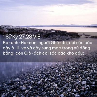 Picture 02 - 1 Sử Ký 27:28 VIE - Ba-anh-Ha-nan, người Ghê-đe, coi sóc các - Bible Verse Picture