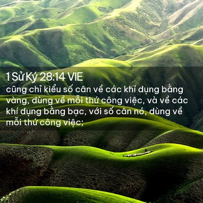 Picture 02 - 1 Sử Ký 28:14 VIE - cũng chỉ kiểu số cân về các khí - Bible Verse Picture