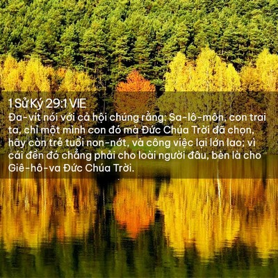 Picture 02 - 1 Sử Ký 29:1 VIE - Đa-vít nói với cả hội chúng rằng: - Bible Verse Picture