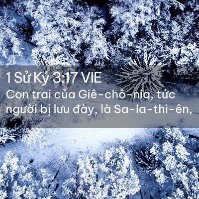 Picture 02 - 1 Sử Ký 3:17 VIE - Con trai của Giê-chô-nia, tức người bị - Bible Verse Picture