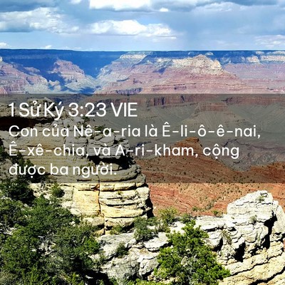 Picture 02 - 1 Sử Ký 3:23 VIE - Con của Nê-a-ria là Ê-li-ô-ê-nai, - Bible Verse Picture