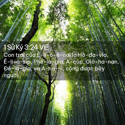 Picture 02 - 1 Sử Ký 3:24 VIE - Con trai của Ê-li-ô-ê-nai là Hô-đa-via, - Bible Verse Picture