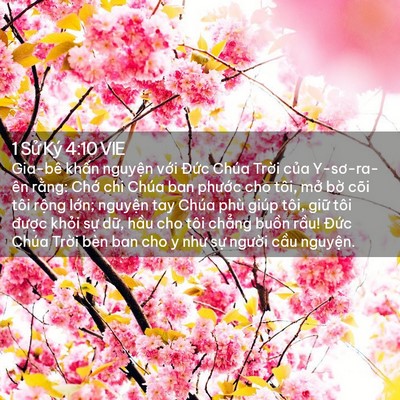 Picture 02 - 1 Sử Ký 4:10 VIE - Gia-bê khấn nguyện với Đức Chúa Trời - Bible Verse Picture