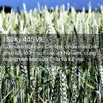 Picture 02 - 1 Sử Ký 4:15 VIE - Các con trai của Ca-lép, cháu của - Bible Verse Picture