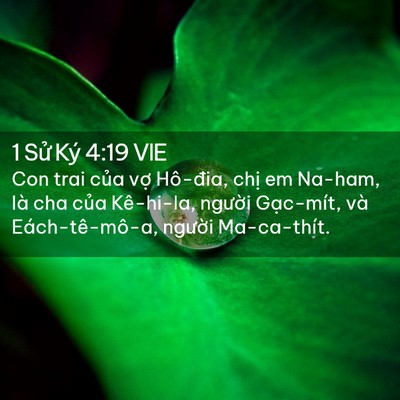 Picture 02 - 1 Sử Ký 4:19 VIE - Con trai của vợ Hô-đia, chị em Na-ham, - Bible Verse Picture