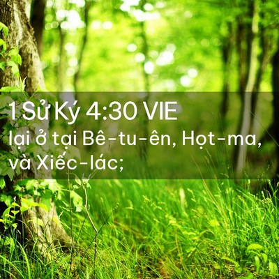 Picture 02 - 1 Sử Ký 4:30 VIE - lại ở tại Bê-tu-ên, Họt-ma, và - Bible Verse Picture