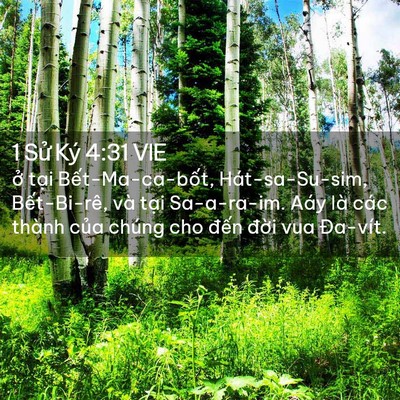 Picture 02 - 1 Sử Ký 4:31 VIE - ở tại Bết-Ma-ca-bốt, Hát-sa-Su-sim, - Bible Verse Picture