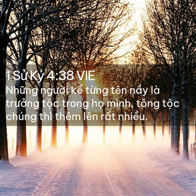 Picture 02 - 1 Sử Ký 4:38 VIE - Những người kể từng tên nầy là - Bible Verse Picture
