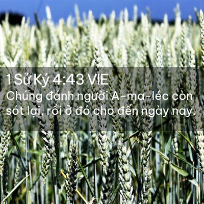 Picture 02 - 1 Sử Ký 4:43 VIE - Chúng đánh người A-ma-léc còn sót lại, - Bible Verse Picture