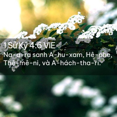 Picture 02 - 1 Sử Ký 4:6 VIE - Na-a-ra sanh A-hu-xam, Hê-phe, Thê-mê-ni, và - Bible Verse Picture