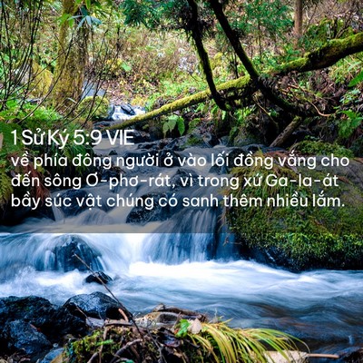 Picture 02 - 1 Sử Ký 5:9 VIE - về phía đông người ở vào lối đồng - Bible Verse Picture