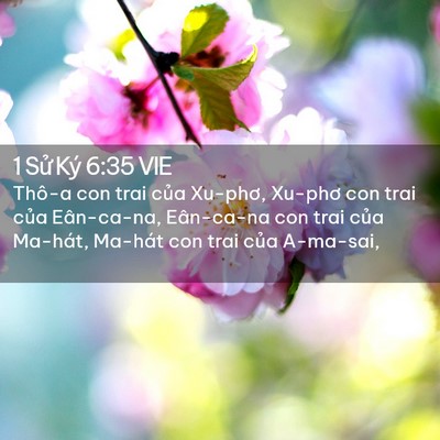 Picture 02 - 1 Sử Ký 6:35 VIE - Thô-a con trai của Xu-phơ, Xu-phơ con trai - Bible Verse Picture
