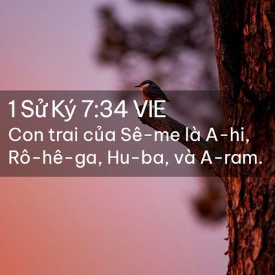 Picture 02 - 1 Sử Ký 7:34 VIE - Con trai của Sê-me là A-hi, Rô-hê-ga, - Bible Verse Picture