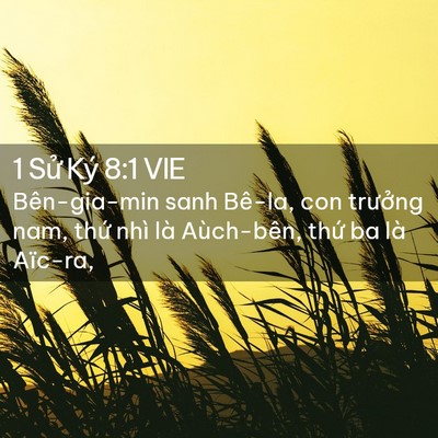 Picture 02 - 1 Sử Ký 8:1 VIE - Bên-gia-min sanh Bê-la, con trưởng nam, - Bible Verse Picture
