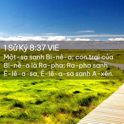 Picture 02 - 1 Sử Ký 8:37 VIE - Một-sa sanh Bi-nê-a; con trai của Bi-nê-a - Bible Verse Picture