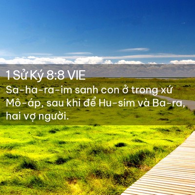 Picture 02 - 1 Sử Ký 8:8 VIE - Sa-ha-ra-im sanh con ở trong xứ Mô-áp, sau - Bible Verse Picture