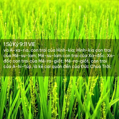 Picture 02 - 1 Sử Ký 9:11 VIE - và A-xa-ria, con trai của Hinh-kia; Hinh-kia - Bible Verse Picture