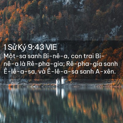 Picture 02 - 1 Sử Ký 9:43 VIE - Một-sa sanh Bi-nê-a, con trai Bi-nê-a là - Bible Verse Picture