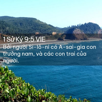 Picture 02 - 1 Sử Ký 9:5 VIE - Bởi người Si-lô-ni có A-sai-gia con - Bible Verse Picture