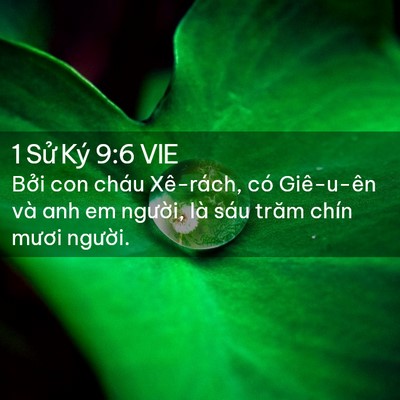 Picture 02 - 1 Sử Ký 9:6 VIE - Bởi con cháu Xê-rách, có Giê-u-ên và anh - Bible Verse Picture