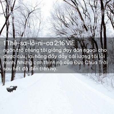 Picture 02 - 1 Thê-sa-lô-ni-ca 2:16 VIE - ngăn trở chúng tôi giảng dạy dân - Bible Verse Picture