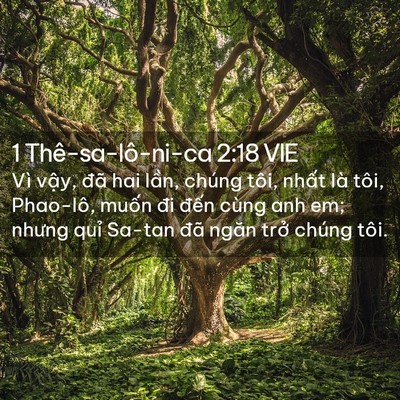 Picture 02 - 1 Thê-sa-lô-ni-ca 2:18 VIE - Vì vậy, đã hai lần, chúng tôi, nhất - Bible Verse Picture