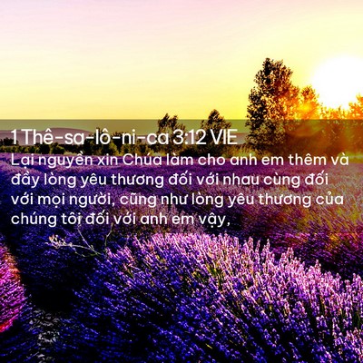 Picture 02 - 1 Thê-sa-lô-ni-ca 3:12 VIE - Lại nguyền xin Chúa làm cho anh em thêm - Bible Verse Picture